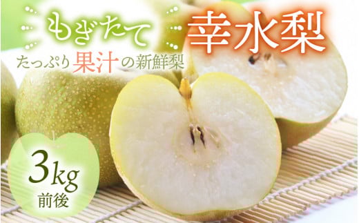 【先行予約】【幸水梨】3kg前後 (5~8個) たっぷりの果汁を含んだジューシーな梨！【2026年8月中旬以降順次発送予定】【梨 なし 和梨 先行予約 フルーツ 甘い みずみずしい 果実 果物 新鮮 お土産 贈り物 旬の果物】 [A-15007]