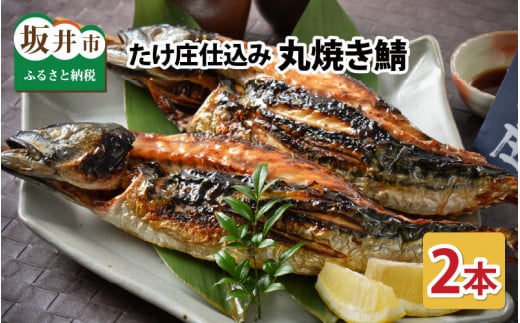 たけ庄仕込み 丸焼き鯖 2本セット （生姜醤油付き） [A-1601]