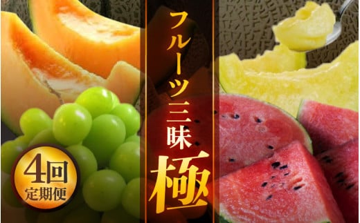 【先行予約】【定期便 4回コース】  坂井市フルーツ三昧！！「極」 【2026年6月上旬以降順次発送開始予定】【定期便 くだもの 果物 フルーツ お楽しみ スイカ 西瓜 ピノガール マルセイユメロン シャインマスカット ブドウ 葡萄 アールスメロン 贈答 ギフト 贈り物】 [H-3201]