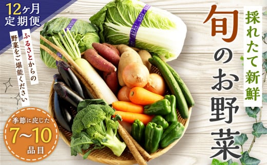 【12ヶ月定期便】生産者応援 採れたて新鮮 旬のお野菜 詰め合わせセット