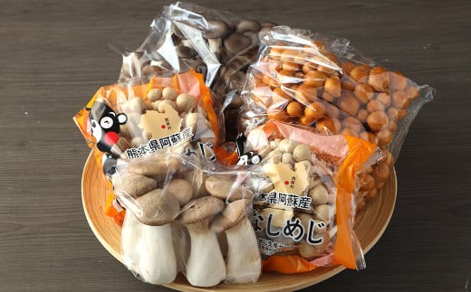 工場直送 きのこ バラエティセット 3~4種 1.0kg以上