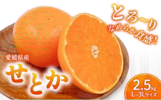 せとか L～3Lサイズ　2.5kg　みきゃん箱入＜みかん 柑橘 フルーツ 果物 愛媛県 国産 甘い 人気 先行予約 数量限定 旬にお届け 瀬戸香＞ [№5310-0261]
