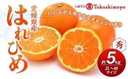 【数量限定 先行予約】愛媛県産 はれひめ 約5kg[50R0813] 【高島屋選定品】M～2L サイズ＜ギフト 甘味 濃厚 みかん フルーツ＞ [№5310-0045]