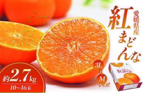 【数量限定 先行予約】愛媛県産 紅まどんな2.7kg[50R0986]【高島屋選定品】青秀 M～３Lサイズ（10～16玉）12月上旬頃～順次発送 ＜ギフト 正規品 甘い みかん フルーツ＞ [№5310-0047]