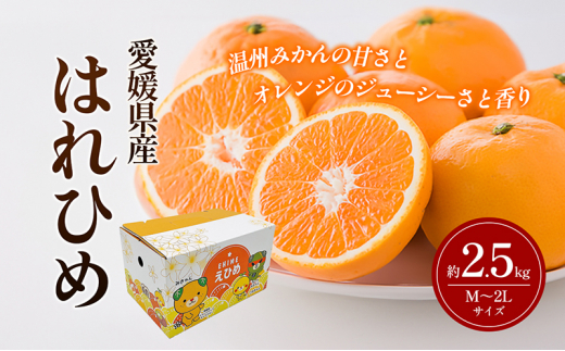 はれひめ M～2Lサイズ 約2.5kg 申込11月30日まで 12月上旬から順次発送【みかん ミカン オレンジ かんきつ 柑橘 フルーツ 果物 くだもの おやつ スイーツ 甘い ジューシー 愛媛県】 [№5310-0241]