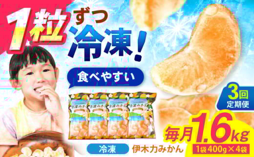 【3回定期便】※【11月より発送／先行予約】冷凍 伊木力みかん 1.6kg(400g×4) / みかん ミカン 蜜柑 柑橘 フルーツ ふるーつ 果物 くだもの 冷凍 冷凍みかん / 諫早市 / 山野果樹園 [AHCF011]