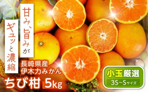 ※【2025年11月より順次発送／先行予約】伊木力みかん(ちび柑) 5kg / みかん s みかんsサイズ ミカン 蜜柑 柑橘 フルーツ ふるーつ 果物 くだもの / 諫早市 / 山野果樹園 [AHCF013]