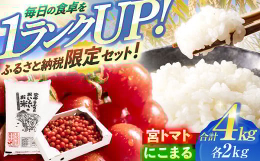 「宮トマト」2kg・特別栽培米「にこまる」2kg / トマト とまと ミニトマト プチトマト 野菜 やさい 米 コメ こめ おこめ お米 白米 精米   / 諫早市 / 株式会社宮下農園 [AHCG013]