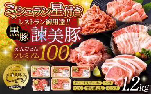 【お歳暮対象】黒豚諫美豚プレミアム100 5種詰め合わせ 1.2kg / 豚肉 ぶたにく ロースステーキ しゃぶしゃぶ 切り落とし ミンチ / 諫早市 / 株式会社土井農場 [AHAD047]