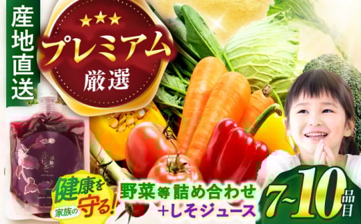【プレミアム】野菜・果物・きのこ詰め合わせ 7〜10品目 / 野菜 やさい 果物 くだもの フルーツ ふるーつ きのこ 旬 新鮮 セット / 諫早市 / 松尾農園 [AHAY004]