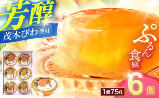 長崎特産「茂木びわゼリー」(6個入り) / びわゼリー びわぜりー ゼリー ぜりー びわ ビワ 枇杷  茂木びわ / 諫早市 / 橋本屋本舗 [AHCP003]