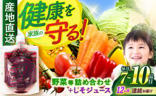 【全12回定期便】野菜・果物・きのこ詰め合わせ 7〜10品目 / 野菜 やさい 果物 くだもの フルーツ ふるーつ きのこ 旬 新鮮 セット / 諫早市 / 松尾農園 [AHAY016]