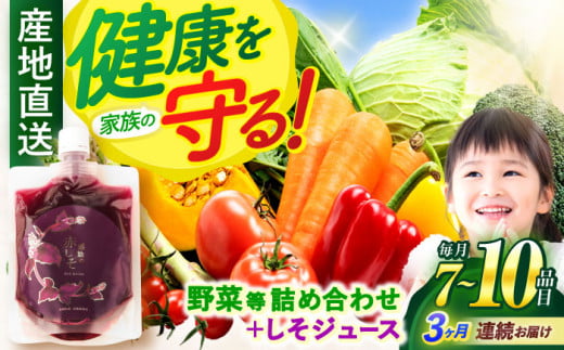 【全3回定期便】野菜・果物・きのこ詰め合わせ 7〜10品目 / 野菜 やさい 果物 くだもの フルーツ ふるーつ きのこ 旬 新鮮 セット / 諫早市 / 松尾農園 [AHAY007]