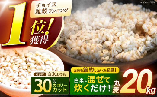 【最速発送】 丸麦 (長崎県産) 20kg / 麦 むぎ 雑穀 雑穀米 麦ごはん 麦みそ 麦味噌 食物繊維 長崎県産 米 こめ コメ ※ / 諫早市 / 有限会社伊東精麦 [AHBU001]   最速 最短 スピード 発送