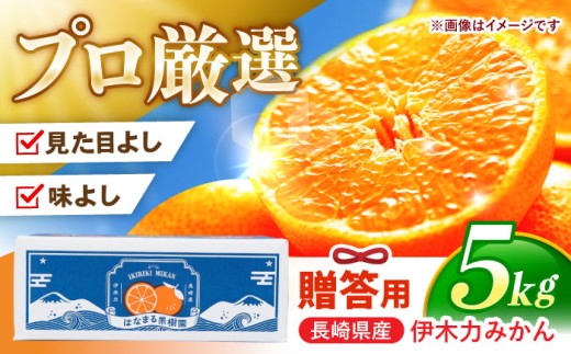 ※【2025年11月より順次発送／先行予約】伊木力みかん 「はなまるみかん」（贈答用）5kg / みかん 蜜柑 ミカン 柑橘 フルーツ ふるーつ 果物 くだもの / 諫早市 / 株式会社山野果樹園 [AHCF003]