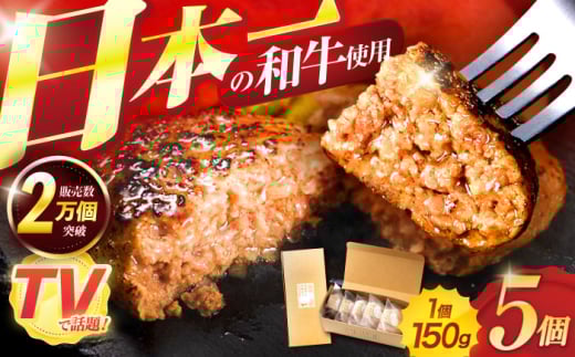 ながさきふわとろハンバーグ 150g×5個入 / ハンバーグ はんばーぐ 肉 牛肉 豚肉 おかず 惣菜 / 諫早市 / ワールド・ミート有限会社 [AHBG005]