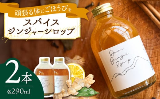 スパイスジンジャーシロップ(290ml×2本) / ジンジャー シロップ 自家製 生姜 自然 暮らし / 諫早市 / のんびり山　 [AHBA003]