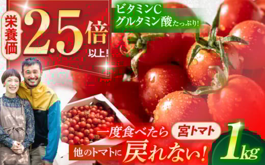 プチッと弾ける果汁「宮トマト」1kg /トマト とまと ミニトマト プチトマト 野菜 やさい / 諫早市 / [AHCG023]