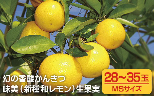 C168p 【高評価！人気】幻の香酸 かんきつ 味美 (新種 和レモン)生果実 ｜ 新鮮 レモン れもん 檸檬 柑橘 フルーツ ふるーつ 果物 くだもの 農家直送 産地直送 期間限定 国産 九州 長崎