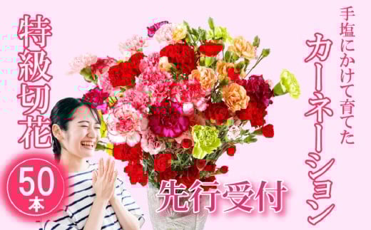 G294p 鮮度が自慢!花農家直送 カーネーション 切り花 50本[黒髪カーネーション&西九州させぼ地域商社 ]花ギフト 新鮮 カーネーション 母の日 プレゼント