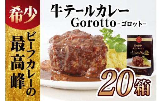 E364p 【2024北野エースカレー大賞受賞！】【大容量20食分!】牛テールカレーゴロット20箱セット(各350g)【豊味館】感動のやわらかさ Gorotto 長崎 佐世保 九州 レトルトカレー ビーフカレー