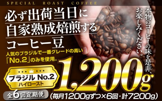 E430z [6回定期便]必ず出荷日に自家熟成焙煎ブラジルNo.2豆(1,200g)[SASEBO Coffee TOMINAGA] 人気 新鮮 挽きたて 高級コーヒー 本格 大容量