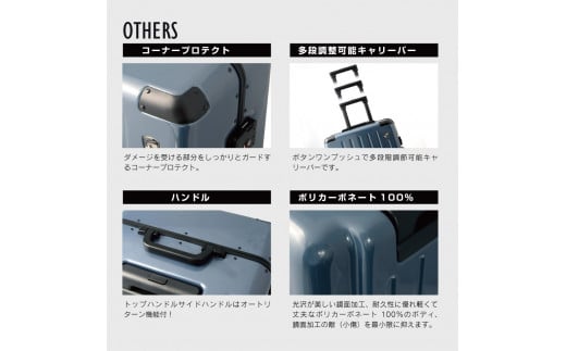 ふるさと納税 カバン 長崎県 佐世保市 G515 PC7000スーツケースLシルクホワイト 5〜7泊用 耐久性に優れたダブルキャスター TSAロック 軽量 大型 大きいサイズ … G515 PC7000スーツケースLシルクホワイト 【5～7泊用 ！耐久性に
