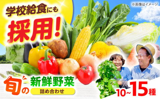 【数量限定】厳選！旬を味わう高槻野菜おまかせ詰め合わせセット（10種～15種）　大阪府高槻市/高槻あぐり [AOCS006] 新鮮 野菜 やさい 産地直送 産直 旬 人気 お取り寄せ 野菜詰め合わせ 野菜セット 採れたて 彩り豊か 家庭 食卓応援 季節の味 新鮮便 ギフト 贈答 健康志向 おうちごはん サラダ向き 料理素材 旬野菜詰め プレミアム 栄養満点 地元産 美味 安心野菜 愛情