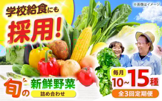 【全3回】【数量限定】厳選！旬を味わう高槻野菜おまかせ詰め合わせ定期便（10種～15種）　大阪府高槻市/高槻あぐり [AOCS019] 新鮮 野菜 やさい 産地直送 産直 旬 人気 お取り寄せ 野菜詰め合わせ 野菜セット 採れたて 彩り豊か 家庭 食卓応援 季節の味 新鮮便 ギフト 贈答 健康志向 おうちごはん サラダ向き 料理素材 旬野菜詰め プレミアム 栄養満点 地元産 美味 安心野菜 愛情