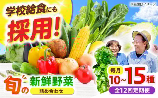 【全12回】【数量限定】厳選！旬を味わう高槻野菜おまかせ詰め合わせ定期便（10種～15種）　大阪府高槻市/高槻あぐり [AOCS021] 新鮮 野菜 やさい 産地直送 産直 旬 人気 お取り寄せ 野菜詰め合わせ 野菜セット 採れたて 彩り豊か 家庭 食卓応援 季節の味 新鮮便 ギフト 贈答 健康志向 おうちごはん サラダ向き 料理素材 旬野菜詰め プレミアム 栄養満点 地元産 美味 安心野菜 愛情