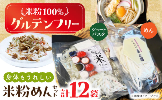 高槻産 米粉 100% 米粉めんセット 食品 米粉 お米 グルテンフリー 小麦粉 アレルギー ダイエット 低糖質 大阪府高槻市/株式会社高谷 米粉 麺 お米 グルテンフリー 小麦粉 [AOAW021]