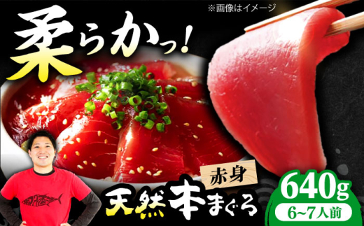 極上！たね熟天然本まぐろ赤身(640g) 天然 マグロ 鮪 赤身 刺身 魚 魚介 魚介類 海鮮丼 本マグロ 本まぐろ 本鮪 赤身 天然鮪 冷凍 お刺身 お寿司 大阪府高槻市/本まぐろ直売所 [AOCE005]