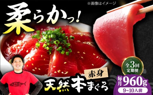 【全3回定期便】極上！たね熟天然本まぐろ赤身(960g) 天然 マグロ 鮪 赤身 刺身 魚 魚介 魚介類 海鮮丼 本マグロ 本まぐろ 本鮪 赤身 大トロ 冷凍 お刺身 お寿司 大阪府高槻市/本まぐろ直売所 [AOCE019] 本マグロ 刺身 寿司 海鮮 旨み 切り身 鮮度抜群 海鮮丼 お取り寄せ 高級魚 ギフト 贈答用 海の幸 家飲み ごちそう おつまみ 炙り丼 手巻き寿司 お祝い パーティー