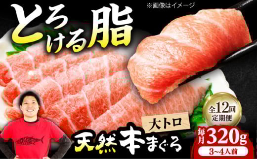 【全12回定期便】極上！たね熟天然本まぐろ大トロ(320g) 天然 マグロ 鮪 大トロ 刺身 魚 魚介 魚介類 海鮮丼 本マグロ 本まぐろ 本鮪 赤身 大トロ 冷凍 お刺身 お寿司 大阪府高槻市/本まぐろ直売所 [AOCE024] 本マグロ 刺身 寿司 海鮮 旨み 切り身 鮮度抜群 海鮮丼 お取り寄せ 高級魚 ギフト 贈答用 海の幸 家飲み ごちそう おつまみ 炙り 手巻き寿司 お祝い パーティー