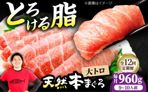 【全12回定期便】極上！たね熟天然本まぐろ大トロ(960g) 天然 マグロ 鮪 大トロ 刺身 魚 魚介 魚介類 海鮮丼 本マグロ 本まぐろ 本鮪 赤身 大トロ 冷凍 お刺身 お寿司 大阪府高槻市/本まぐろ直売所 [AOCE030] 本マグロ 刺身 寿司 海鮮 旨み 切り身 鮮度抜群 海鮮丼 お取り寄せ 高級魚 ギフト 贈答用 海の幸 家飲み ごちそう おつまみ 炙り 手巻き寿司 お祝い パーティー