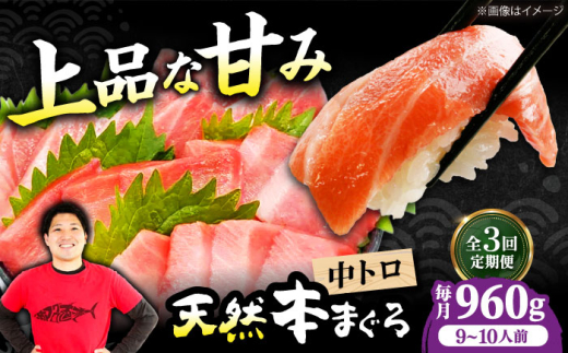 【全3回定期便】極上！たね熟天然本まぐろ中トロ(960g) 天然 マグロ 鮪 中トロ 刺身 魚 魚介 魚介類 海鮮丼 本マグロ 本まぐろ 本鮪 中とろ 中トロ 冷凍 お刺身 お寿司 大阪府高槻市/本まぐろ直売所 [AOCE037] 本マグロ 刺身 寿司 海鮮 旨み 切り身 鮮度抜群 海鮮丼 お取り寄せ 高級魚 ギフト 贈答用 海の幸 家飲み ごちそう おつまみ 炙り 手巻き寿司 お祝い パーティー