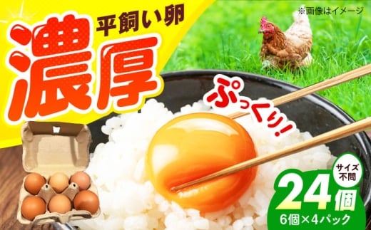 【年内発送】平飼い卵 24個セット たまご 卵 鶏卵 玉子 平飼い タマゴ 新鮮 大阪府高槻市/ベジ彩ファーム [AOEJ003]
