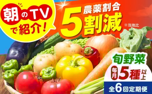 【全6回定期便】 米ぬかで育てた！旬のお野菜セット 詰合せ 詰め合わせ 新鮮 産地直送 おまかせ やさい 野菜セット 大阪府高槻市/ベジ彩ファーム [AOEJ006] 朝のTVで紹介 旬の野菜セット 新鮮野菜 産地直送 おまかせ詰め合わせ やさいセット 家庭用 食材セット サラダ料理 煮物 炒め物 健康志向 ギフト 贈答用 お取り寄せグルメ 栽培 野菜不足解消 栄養満点 食卓彩り 家庭料理 人気