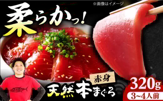まぐろ 極上！たね熟天然本まぐろ赤身(320g) まぐろ マグロ 鮪 赤身 刺身 マグロ 鮪 赤身 トロ とろ 刺身 小分け 柵 冷凍 海鮮 新鮮 大阪府高槻市/本まぐろ直売所 [AOCE001] 本マグロ 赤身 中トロ 大トロ 刺身 寿司 海鮮 旨み 脂のり 切り身 鮮度抜群 海鮮丼 お取り寄せ 高級魚 ギフト 贈答用 海の幸 家飲み ごちそう おつまみ 炙り丼 手巻き寿司 お祝い パーティー