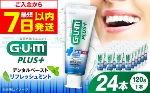【最短7日以内発送】ガム・プラス デンタルペースト 120g×24本（リフレッシュミント） 歯磨き はみがき ハミガキ 歯磨き粉 歯みがき粉 歯ブラシ ハブラシ 薬用 医薬部外品 歯周病 虫歯 口臭 矯正 大容量 人気 定番 おすすめ 高濃度フッ素配合 歯周病予防 歯肉炎 歯槽膿漏 口臭ケア デンタルケア オーラルケア 殺菌成分 CPC 大阪府高槻市/サンスター[AOAD028]