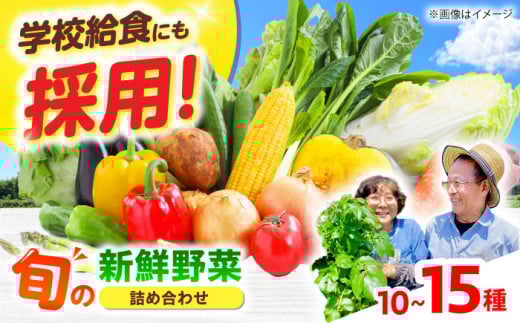 【数量限定】厳選！旬を味わう高槻野菜おまかせ詰め合わせセット 5月（10種～15種）　大阪府高槻市/高槻あぐり [AOCS011] 新鮮 野菜 やさい 産地直送 産直 旬 人気 お取り寄せ 野菜詰め合わせ 野菜セット 採れたて 彩り豊か 家庭 食卓応援 季節の味 新鮮便 ギフト 贈答 健康志向 おうちごはん サラダ向き 料理素材 旬野菜詰め プレミアム 栄養満点 地元産 美味 安心野菜 愛情