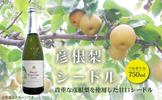 彦根梨シードル フルボトル 750ml シードル お酒 酒 アルコール ワイン 彦根梨 梨 梨ワイン 滋賀 彦根