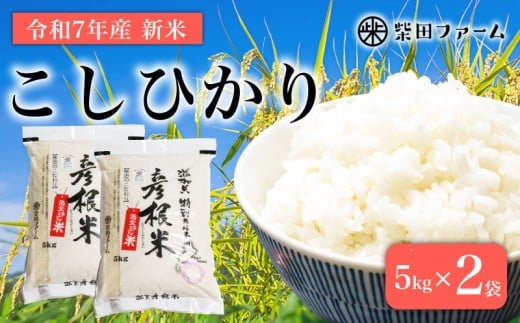 数量限定 先行予約 令和7年度産 コシヒカリ 5kg×2袋 白米 米 コメ お米 新米 ご飯 ごはん 10kg 10 令和7年 7年 滋賀 彦根