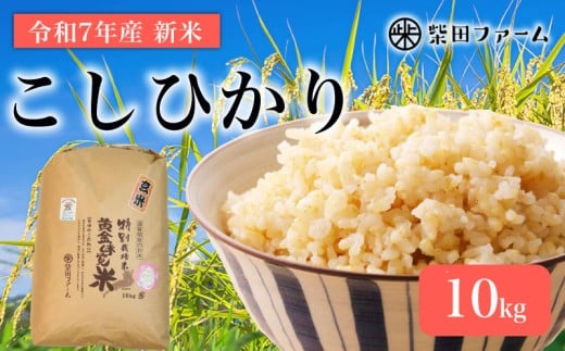 数量限定 先行予約 令和7年産 コシヒカリ 玄米 米 こめ 10kg 10 令和7年 7年 滋賀 彦根