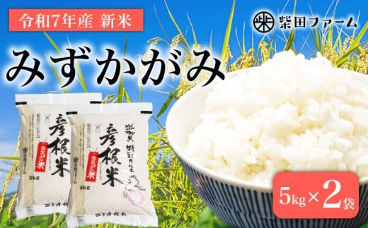 数量限定 先行予約 令和7年度産 みずかがみ 5kg×2袋 白米 米 コメ お米 新米 ご飯 ごはん 10kg 10 令和7年 7年 滋賀 彦根