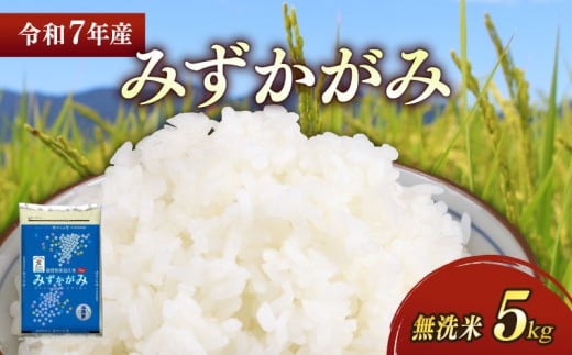 ★無洗米★ 新米 令和7年 彦根産 みずかがみ 5kg お米 白米 無洗米 米 こめ コメ おこめ ご飯 ごはん おすすめ 送料無料 滋賀 彦根 ひこね