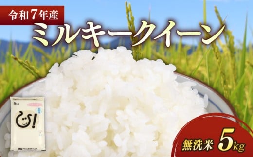 ★無洗米★ 新米 令和7年 ミルキークイーン 5kg 彦根産 滋賀県こだわり農産物 米 お米 おこめ こめ コメ 白米 無洗米 米5kg ご飯 飯 ごはん 滋賀県 彦根 ひこね