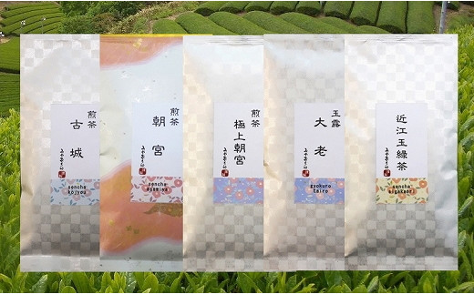 お茶 飲み比べ セット 100g×5種 お茶 高級茶 煎茶古城 煎茶朝宮 煎茶極上朝宮 玉露大老 玉緑茶 煎茶 茶葉 玉露 緑茶 詰め合わせ 詰合せ 100g 5種類 100 5 贈答 ギフト 滋賀 彦根