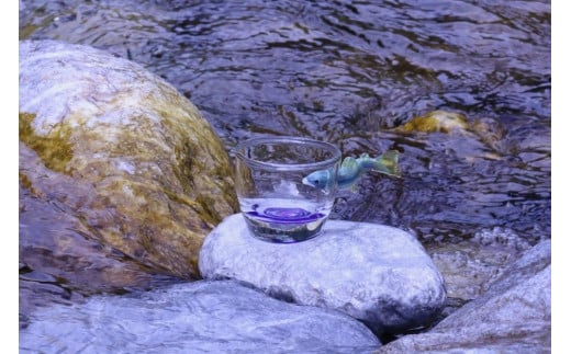 ぐい呑 あゆ ガラス 1個 ぐいのみ 耐熱ガラス オリジナル 酒杯 おちょこ お猪口 日本酒 冷酒 熱燗 酒器 盃 晩酌 工芸 民芸 食器 器 グラス あゆ アユ 鮎 滋賀 彦根