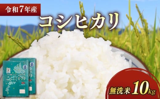 ★無洗米★ 新米 令和7年 彦根産 コシヒカリ 10kg(5kg×2袋)こしひかり 米 お米 白米 無洗米 こめ コメ おこめ ごはん おすすめ ご飯 送料無料 滋賀 彦根 ひこね
